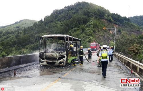 广西贺州爆料事件最新,揭秘背后真相与争议焦点